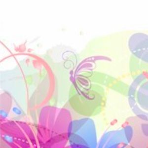 Bloom chic plus size grab bag 2x-3x. 2-3 items per bag in good condition